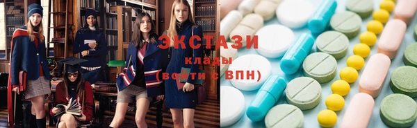индика Богородицк