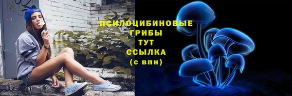 крисы Бугульма