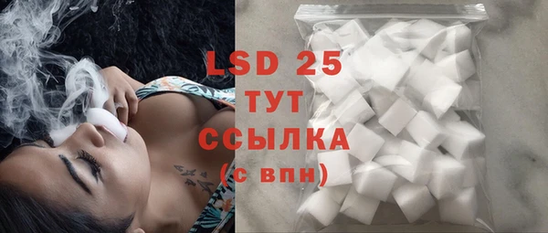 индика Богородицк