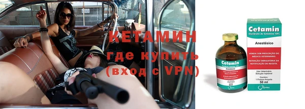 индика Богородицк