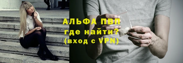 индика Богородицк