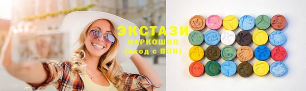 индика Богородицк