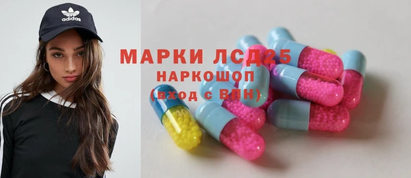 spice Бородино