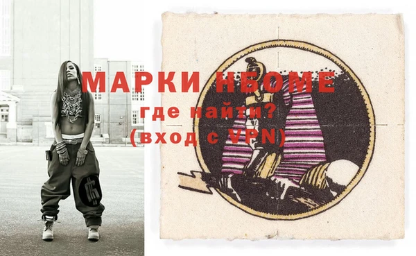 индика Богородицк