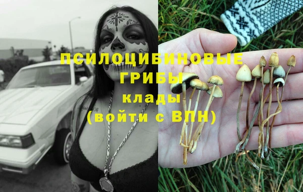 индика Богородицк