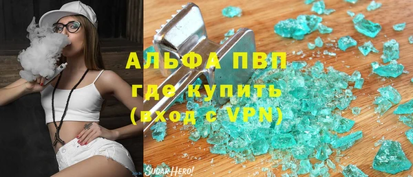 индика Богородицк