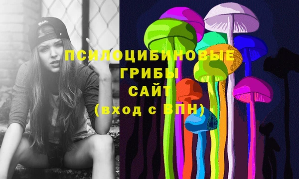 стаф Богородск