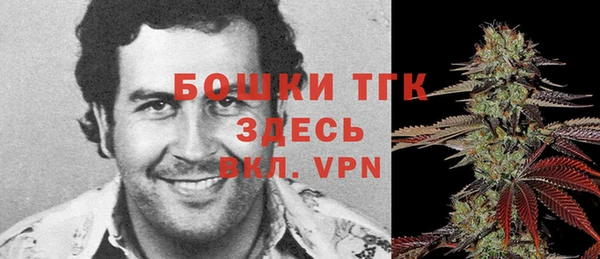стаф Богородск