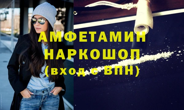 индика Богородицк