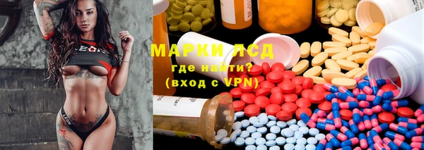 spice Бородино