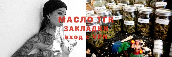 индика Богородицк