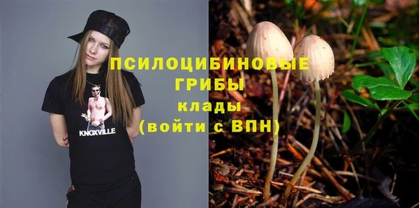 крисы Бугульма