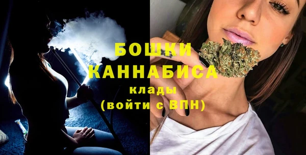 spice Бородино