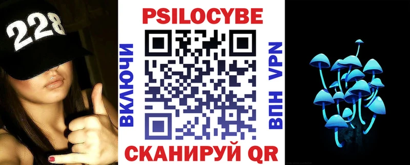 наркотики Великий Новгород Галлюциногенные грибы Psilocybe